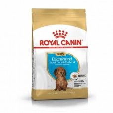 Royal Canin Dachshund Puppy Корм сухой для щенков породы Такса до 10 месяцев
