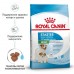 Royal Canin Mini Starter Корм для щенков мелких размеров до 2-х месяцев, беременных и кормящих сук