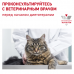 Royal Canin Gastrointestinal Корм сухой диетический для взрослых кошек при расстройствах пищеварения
