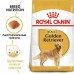 Royal Canin Golden Retriever Корм сухой для взрослых собак породы Голден Ретривер от 15 месяцев