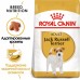 Royal Canin Jack Russell Adult Корм сухой для взрослых собак породы Джек Рассел от 10 месяцев