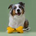 Mr.Kranch Игрушка для собак мелких и средних пород Косточка с канатом 31х9х4см, желтая