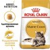 Royal Canin Maine Coon Adult Корм сухой сбалансированный для взрослых кошек породы Мэйн Кун