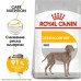 Royal Canin Maxi Dermacomfort Корм сухой для взрослых собак крупных размеров при раздражениях и зуде кожи