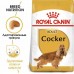 Royal Canin Cocker Adult Корм сухой для взрослых собак породы Кокер Спаниель от 12 месяцев