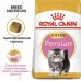 Royal Canin Persian Kitten Корм сухой сбалансированный для персидских котят (до 12 месяцев)