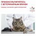 Royal Canin Gastrointestinal Fibre Response Корм сухой диетический для кошек при запорах